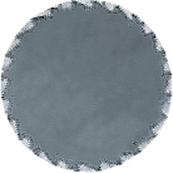 Frässtift ZYA Hartmetall Blank Verzahnung KVZ 4 10 mm 20 mm 60 mm 6 mm