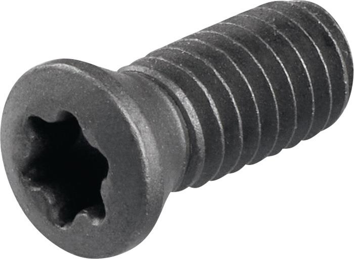 Spannschraube WS0410-T15 WS0410 T15