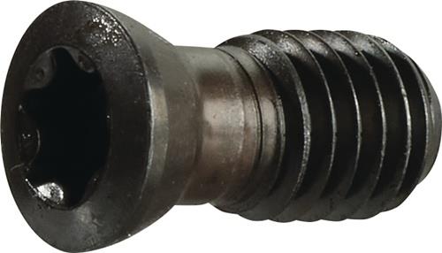Spannschraube US 4511 Gr.T20 f.SEKT/SEET 1204 z.Planfräser TECWERK