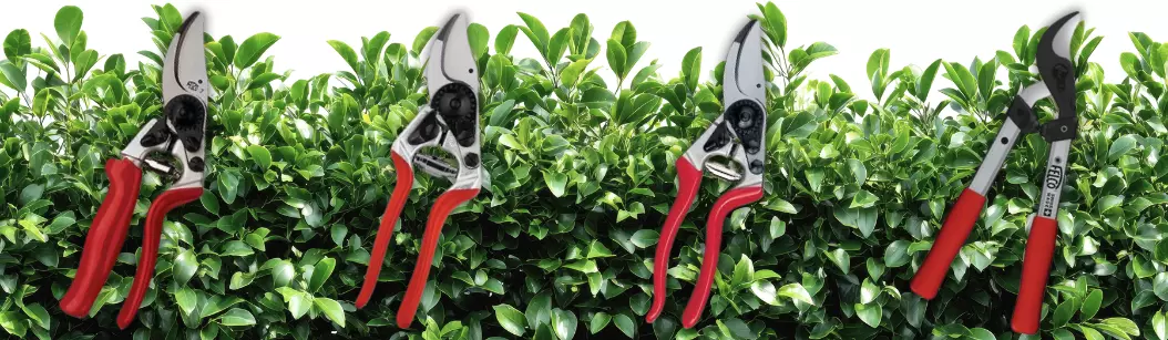 Vier Personen mit Schutzhelmen stehen nebeneinander hinter einem Metallgeländer vor einer leuchtend gelben Wand