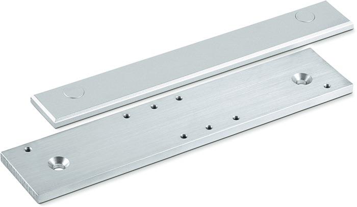 Montage /Gegenplatte silber TS 5000 / 4000