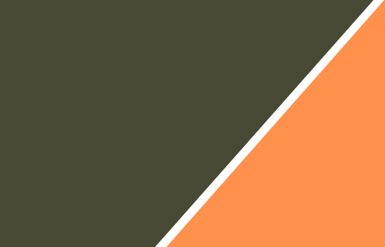 Moosgrün/Hi-vis Orange