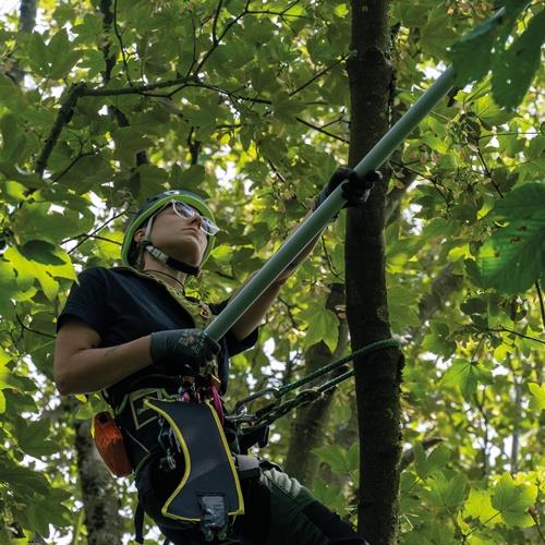 Teleskopstange ArboRapid L.1,45-3,80m BERGER