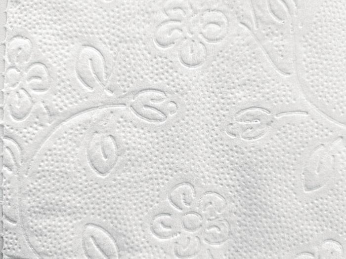 Toilettenpapier Racon Premium 3-lagig 64 RL à 250 Blatt RACON