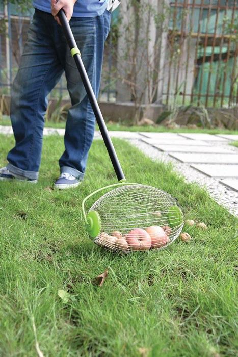 Nuss- und Obstsammler 68090 Breite 300 mm mit teleskopierbarem Stiel FREUND VICTORIA