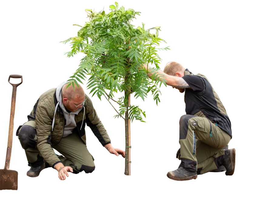 Person in kariertem Hemd, Arbeitshandschuhen und Werkzeuggürteltasche steht vor hellem Hintergrund und jongliert verschiedene Werkzeuge