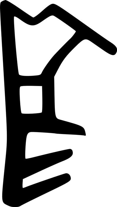 Fensterdichtung ADÜTP1248 Nut 5 mm Falzung 12 mm TPE Holzfenster / 10 mm Kopfbreite 25 m/Bund