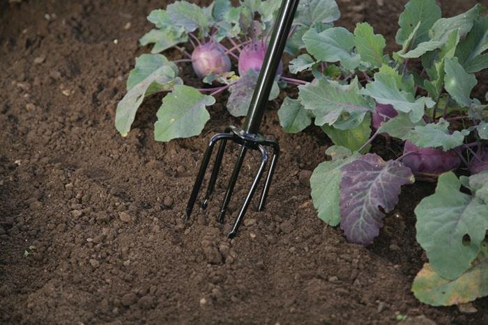 Kultivator 150 mm 5 Zinken FREUND VICTORIA