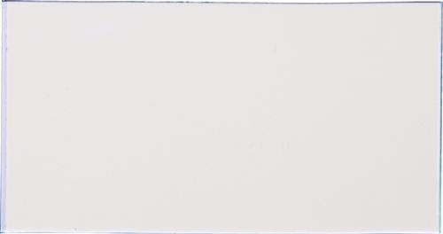 Ersatzscheibe Glas BURG-WÄCHTER