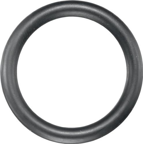 Gummisicherungsring 720 GR AD ca.21mm ASW
